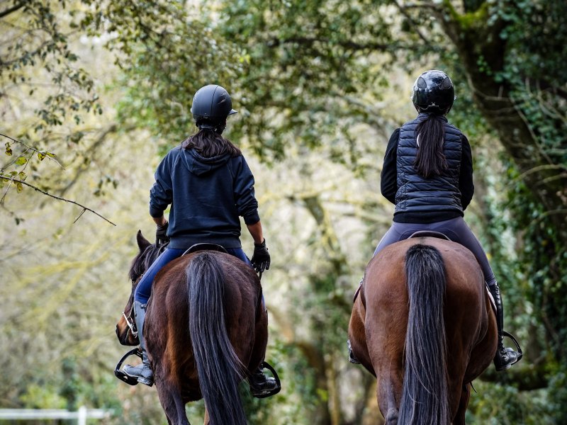 Photo 🌿 Suite L’Arcadie