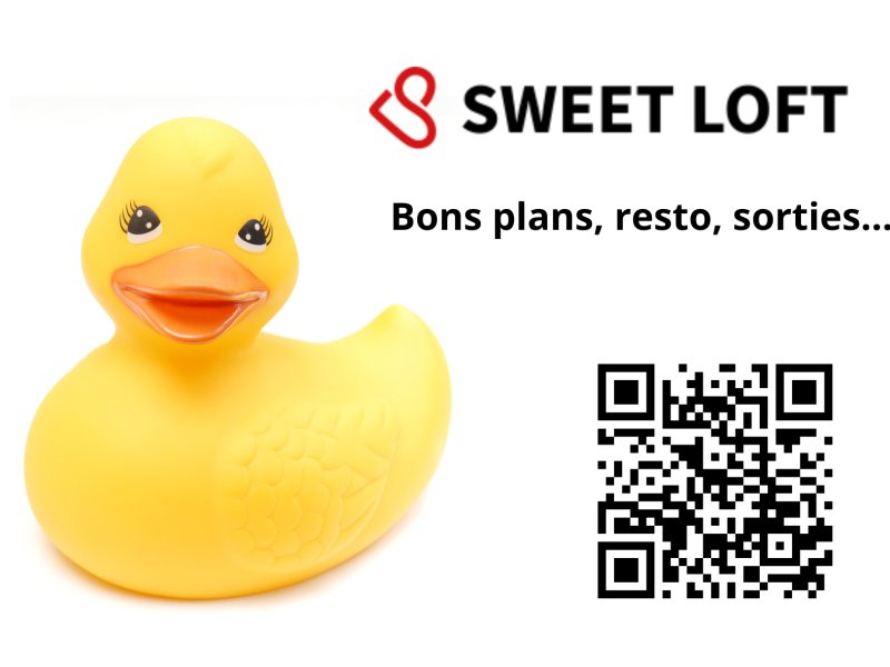 Photo Sweet-Loft Grenoble