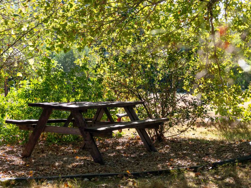 Photo L'Escale Sud Gironde - Bâbord