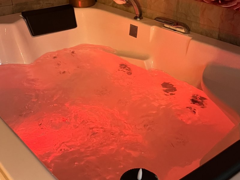 Photo La cabane cachée du jardin et sa balneo 