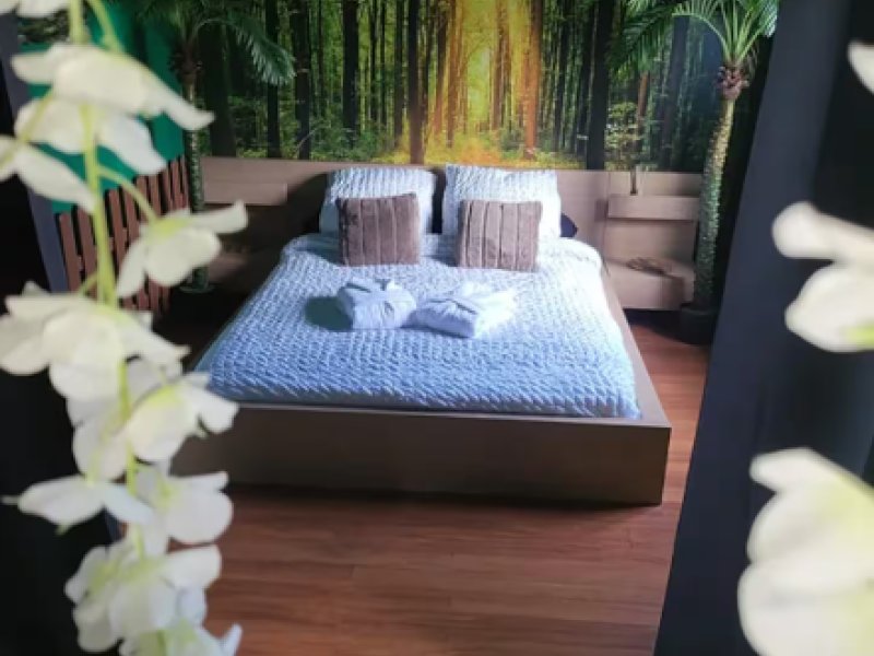 Photo Suite Tropical Spa & Sauna •Paris•Disneyland