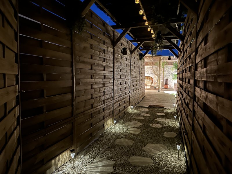 Photo Jungle Evasion By El Tigre