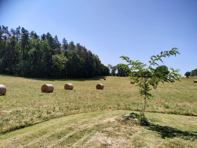 Photo Gîte Nid d'étoiles