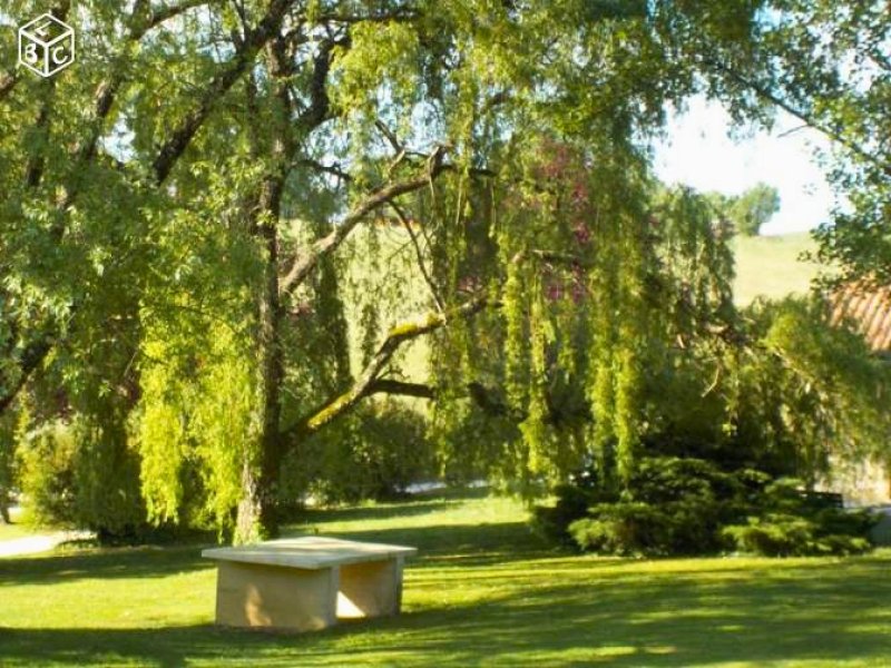 Photo Gîte Nid d'étoiles