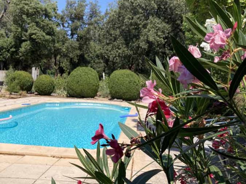 Photo La Cigale Provence