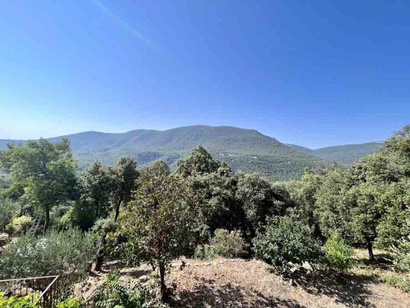 Photo La Cigale Provence