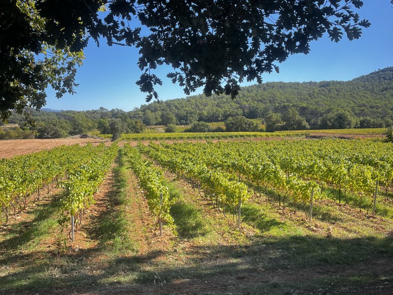 Photo Petit Paradis 